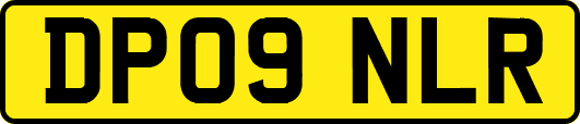 DP09NLR