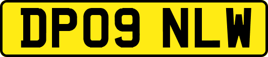DP09NLW