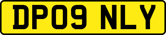DP09NLY
