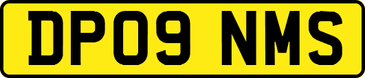 DP09NMS