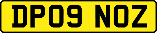 DP09NOZ