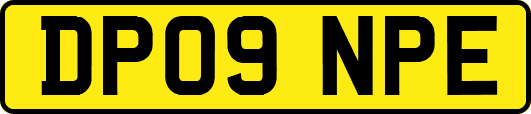 DP09NPE