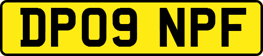 DP09NPF