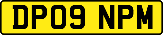 DP09NPM