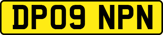 DP09NPN