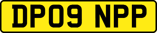 DP09NPP