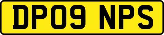 DP09NPS