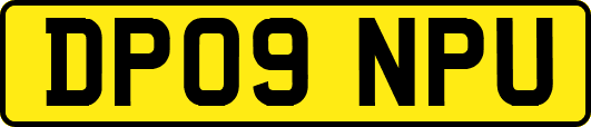 DP09NPU