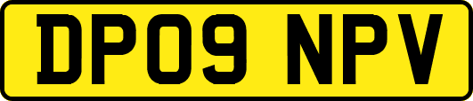 DP09NPV