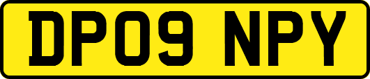 DP09NPY