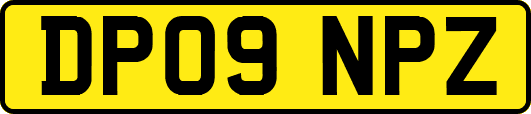 DP09NPZ