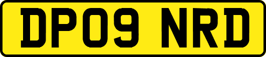 DP09NRD
