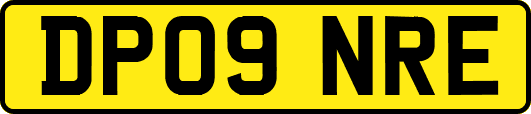 DP09NRE