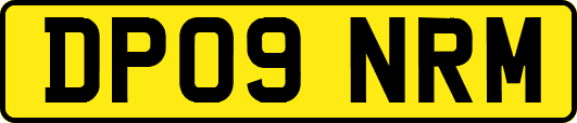DP09NRM