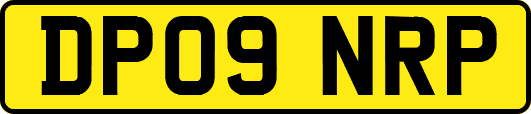 DP09NRP