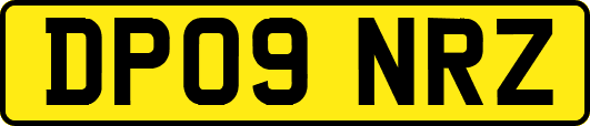 DP09NRZ