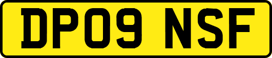 DP09NSF