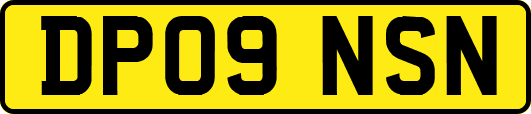 DP09NSN