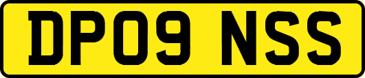 DP09NSS
