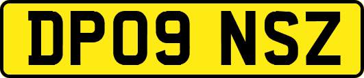 DP09NSZ