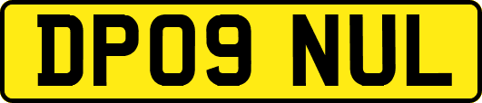 DP09NUL