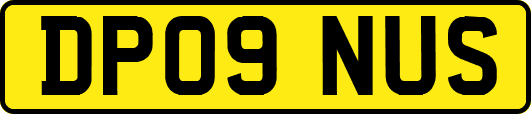 DP09NUS