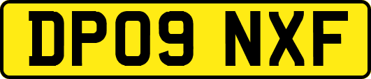 DP09NXF