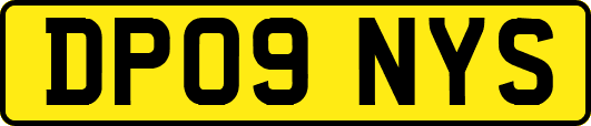 DP09NYS