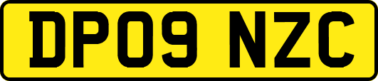 DP09NZC