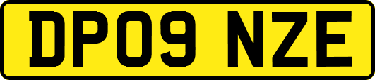 DP09NZE