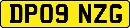 DP09NZG
