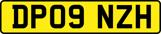 DP09NZH