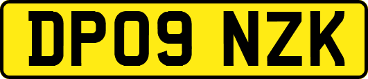 DP09NZK