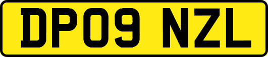 DP09NZL