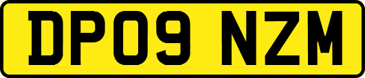 DP09NZM