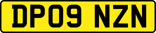 DP09NZN