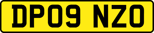 DP09NZO