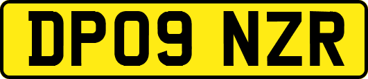 DP09NZR