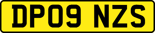 DP09NZS
