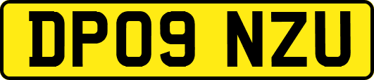 DP09NZU