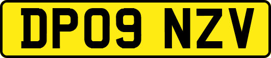 DP09NZV