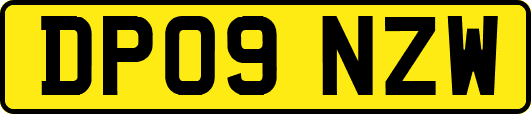 DP09NZW