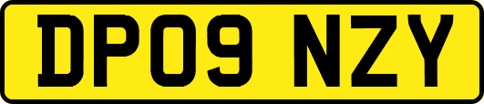 DP09NZY