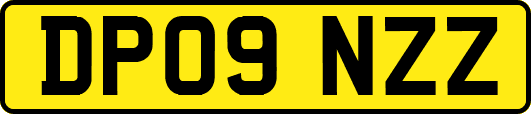 DP09NZZ