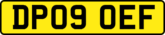 DP09OEF