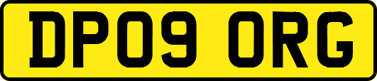 DP09ORG