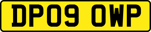 DP09OWP
