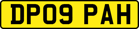 DP09PAH