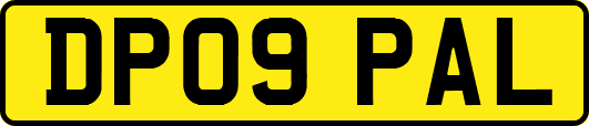DP09PAL
