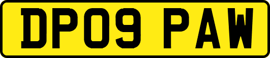 DP09PAW